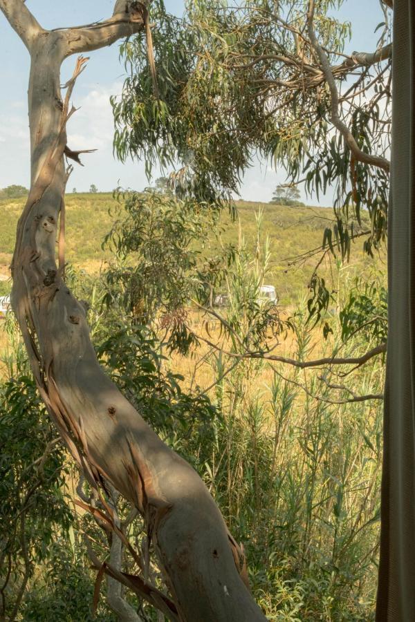 Soul Farm Algarve - Glamping & Farm Houses Aljezur Exterior foto
